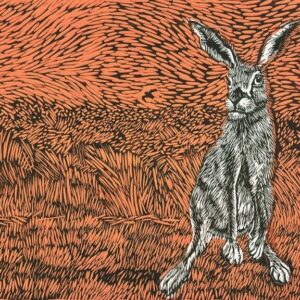 Misplaced Bunnies – Orange Wheatfields