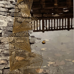 Reflections - Reality to Fantasy