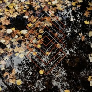 Reflections - Tears and Rain