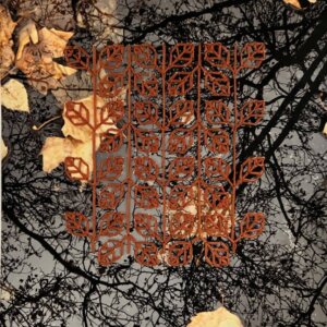 Reflections - The Autumn of our Lives