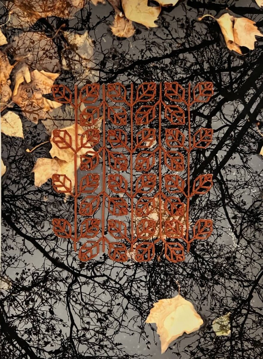 Reflections - The Autumn of our Lives