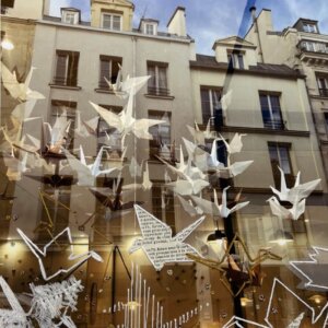 Reflections - Warriors of Peace