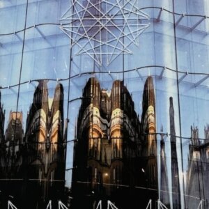 Reflections - Apophemia